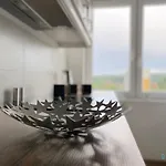 Tick ホームステイ グダニスク
